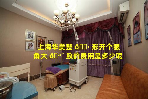 上海华美整 🌷 形开个眼角大 🪴 致的费用是多少呢